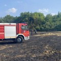 Požar u Šumaricama sprečen da zahvati šumu i put ka Gornjem Milanovcu