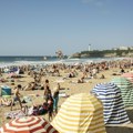 Uzbuna na plažama u ovoj evropskoj zemlji zbog morskog stvorenja: „Bol je strašan, otrovno je i kad je mrtvo“