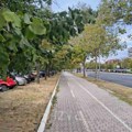 Jesen pokazuje zube već na početku: Za vikend hladno uz jak vetar, a onda nas čeka dalji pad temperature