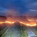 Samo jedan trenutak nepažnje: Evo šta je izazvalo stotine požara po Srbiji!