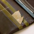 Ловор у новчанику привлачи новац: Ево за шта се још користи ова биљка коју сигурно имате у кухињи