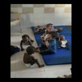 Evakuacija siročića u sudanu: Oko 300 mališana spaseno iz sirotišta u Kartumu: Od polovine aprila 71 dete umrlo od gladi i…