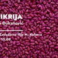 Otrov za pacove, lepljive trake za muve, šljokice i prašina: Izložbom „Mimikrija“ Đukanović izaziva publiku