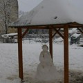 Zbog snega proglašena vanredna situacija u 5 opština u Srbiji