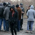 Komesarijat: 647 migranata u prihvatnim i centrima za azil u Srbiji