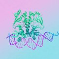 Nova Google veštačka inteligencija može da modelira DNK, RNK i „sve molekule života“
