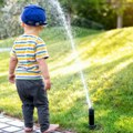 Preslatko Kad jednogodišnjak zaliva baštu, mama se hvata za glavu - evo šta mu je palo na pamet