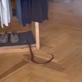 Fotka zmije izazvala lavinu komentara Devojka uslikala gmizavca u Beogradu, a onda šok priznanje – "Sinoć sam imala jednu od…