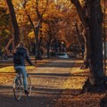 Ujutru kiša, tokom dana razvedravanje, temperature do 17 stepeni
