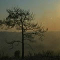 Požar u pograničnom pojasu Srbije i Crne Gore: Vatra zahvatila šumu kod Kamene Gore, gašenje otežano