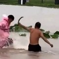 (Video) Tajfun oslobodio armiju kobri! Zmije otrovnice vrebaju iz poplava, ujedaju ljude: Apokalipsa u Kini nakon razornog…
