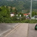 Nevreme napravilo haos na Kokinom Brodu! Vetar čupao drveće, horor na putevima (video)