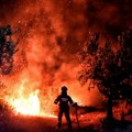 Požar u Teksasu: Izgorelo 200 kvadratnih kilometara, gori i dalje