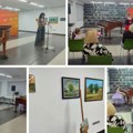 (Фото, видео) Одржана аукција слика у КЦНС за спас Бранкиног живота Победила је хуманост која спаја људе и враћа наду