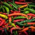 Paprika odlično rodila, ali...