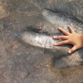 Neverovatno otkriće u Brazilu: Petroglifi i fosilni tragovi dinosaurusa otkriveni na istom mestu