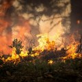 Букти ватра изнад пруге Београд–Бар Гори брдо код Прибоја! Мештани очајни: Ово је катастрофа, никад нисмо видели оволики пожар…