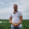 Iskustva korisnika KiTeh usluga: Čaba Biro, BIRO AGRAR-BIV DOO