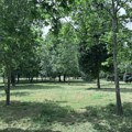 Proširuje se Park Svetog Save, uređuje obala Nišave, stižu park-šume i zelene oaze u svim delovima Niša
