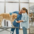 Deo tela koji mnogo može da kaže o zdravlju pasa - veterinari to često gledaju prvo
