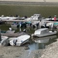 Proglašena vanredna situacija u Somboru, Kuli i Vrbasu zbog niskog vodostaja Dunava