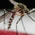 Virus Zapadnog Nila se širi Evropom, registrovan u više od 10 zemalja