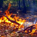 Ugašen požar kod Vranja: Vatrogasci spasili 14 ljudi i odbranili desetine kuća u selu Lukovo