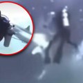 Ajkula napala grupu ronilaca: Dramatičan snimak sa Maldiva, predator uleće među turiste, jedna greška mogla da ih košta…
