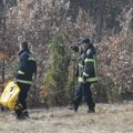 Izgorelo oko tri hektara šume u Ljuboviji: Vatrogasci satima gasili buktinju