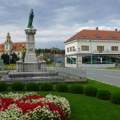 Policija rešila slučaj nesvakidašnje krađe u Valpovu: Lopov poharao prelepi park
