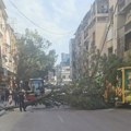 Drvo palo kod Margera u Nišu, saobraćaj blokiran