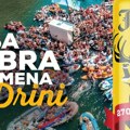 Rege rege regata: Ti povedi kuma, sestru, brata!