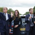 Povratak Harija i Megan u Englesku: Hoće li se braća prinčevi pomiriti