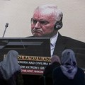 Vujić: Očekujemo da se što pre sprovede istraga o smrti Mladića, kako bi porodica preuzela telo