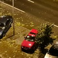 Novi Sad: "Čistoća" otklonila posledice nevremena u 176 ulica