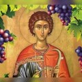 Danas je Sveti Trifun: Zarežite vinograde i poželite ljubav