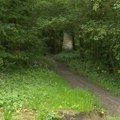 Stravični detalji grupnog silovanja maloletnice (14) u Belgiji: Dečko je namamio u šumu, pa pustio desetorici drugova da se…
