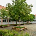 Beogradska škola sada ima zelenije školsko dvorište uz podršku kompanije p&G Beograd