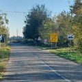 Pojačavaju bele linije: Radovi na putevima u Vršcu, vozači oprez