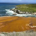 “Pošast” koja guta plaže vidljiva iz svemira: Formiran smeđi pojas koji povezuje Afriku i Ameriku, naučnici zabrinuti