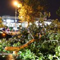Više od 1.000 prijava štete od oluje „Gradskom zelenilu” u Novom Sadu