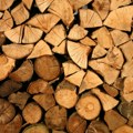 Ogromni problemi za hrvatsku drvnu industriju