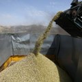 Na Produktnoj berzi najveće interesovanje za novi rod ječma