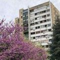 RGZ: Vrednost tržišta nepokretnosti u Srbiji u drugom kvartalu 2,2 milijarde evra, rast 8,1 odsto