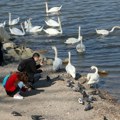 Temperatura se spušta sve niše Jutra postaju sve hladnija, evo kakvo će vreme biti danas