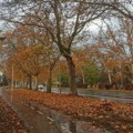 Jesenji početak nedelje pred Novosađanima: Hladno, kišovito, zanimljiva dešavanja za sve uzraste