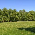 Deo Kameničkog parka spreman za Prvi maj, poslednje pripreme i na Štrandu