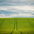 Više od osam odsto poljoprivrednog zemljišta u Srbiji se navodnjava