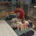 (FOTO) Život Izraelaca usred sirena i skloništa: Partije šaha, pevanje i venčanja pod otvorenim nebom