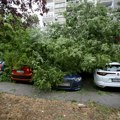 Nevreme izazvalo dramu u Hrvatskoj: Pijavice u Istri, ljudi pali u more, vetar rušio drveće na automobile FOTO, VIDEO